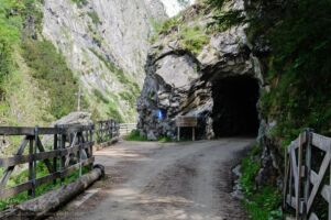 Wanderung zur Kalsdorfer- und Berger Alm