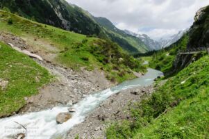 Wanderung zur Kalsdorfer- und Berger Alm