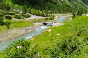 Wanderung zur Kalsdorfer- und Berger Alm