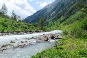 Wanderung zur Kalsdorfer- und Berger Alm