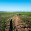 Auf dem Weg nach Burgos Auf dem Weg nach Burgos