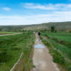 Meseta Meseta