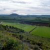 Meseta Meseta