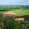 Meseta