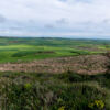 Meseta Meseta