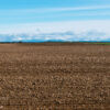 Durch Carrión de los Condes Durch Carrión de los Condes