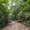 Nationalpark Soberania