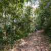 Nationalpark Soberania