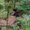 Nationalpark Soberania