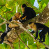Nationalpark Manuel Antonio Nationalpark Manuel Antonio