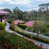 Arenal Volcano Inn, La Fortuna