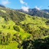 Valle de Cocora Valle de Cocora