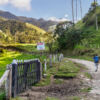 Valle de Cocora Valle de Cocora