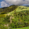 Valle de Cocora Valle de Cocora