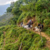 Trekking to Ciudad Perdida, Magdalena - Colombia