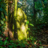 Trekking to Ciudad Perdida, Magdalena - Colombia