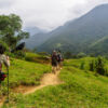 Trekking to Ciudad Perdida, Magdalena - Colombia