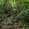 Trekking to Ciudad Perdida, Magdalena - Colombia