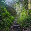 Trekking to Ciudad Perdida, Magdalena - Colombia