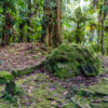 Trekking to Ciudad Perdida, Magdalena - Colombia