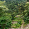 Trekking to Ciudad Perdida, Magdalena - Colombia