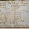 Árbol del Tule - Ahuehuete-Baum Árbol del Tule - Ahuehuete-Baum