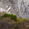 Der Cañón del Sumidero (span. sumidero „Gully“, „Abflussgraben“)