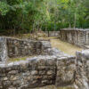 Calakmul, Bundesstaat Campeche - Mexiko Calakmul, Bundesstaat Campeche - Mexiko