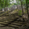 Calakmul, Bundesstaat Campeche - Mexiko Calakmul, Bundesstaat Campeche - Mexiko