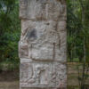 Calakmul, Bundesstaat Campeche - Mexiko Calakmul, Bundesstaat Campeche - Mexiko