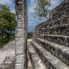 Calakmul, Bundesstaat Campeche - Mexiko Calakmul, Bundesstaat Campeche - Mexiko
