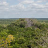 Calakmul, Bundesstaat Campeche - Mexiko Calakmul, Bundesstaat Campeche - Mexiko