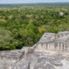 Calakmul, Bundesstaat Campeche - Mexiko Calakmul, Bundesstaat Campeche - Mexiko