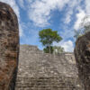 Calakmul, Bundesstaat Campeche - Mexiko Calakmul, Bundesstaat Campeche - Mexiko