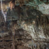 Cenote Samula, Valladolid, Bundesstaat Yucatan - Mexiko