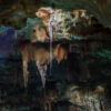 Cenote Samula, Valladolid, Bundesstaat Yucatan - Mexiko