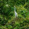 M10_guatemala_20170314_10