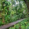 Hacienda Tijax, Río Dulce Hacienda Tijax, Río Dulce