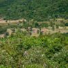 Im NP Cerro Verde
