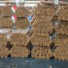 Fabrica de Puro Plasencia Cigars, Estelí - Nicaragua Fabrica de Puro Plasencia Cigars, Estelí - Nicaragua