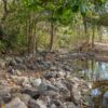 Auf der Ecó-Finca Encanto in Los Encuentros, Departamento de Chontales - Nicaragua