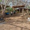 Auf der Ecó-Finca Encanto in Los Encuentros, Departamento de Chontales - Nicaragua