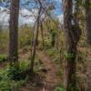Finca El Povenir, Santa Cruz, Ometepe - Nicaragua