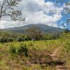 Finca El Povenir, Santa Cruz, Ometepe - Nicaragua