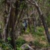 Am Fusse des Vulkans Maderas, Santa Cruz, Ometepe - Nicaragua