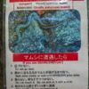 Aufstieg zum Berg Misen, Hiroshima - Japan