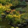 Japanischer Garten Yoshikien im Zentrum von Nara, Japan