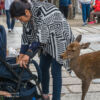 Tempel Todaiji in Nara, Japan