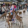 Tempel Todaiji in Nara, Japan