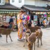 Tempel Todaiji in Nara, Japan